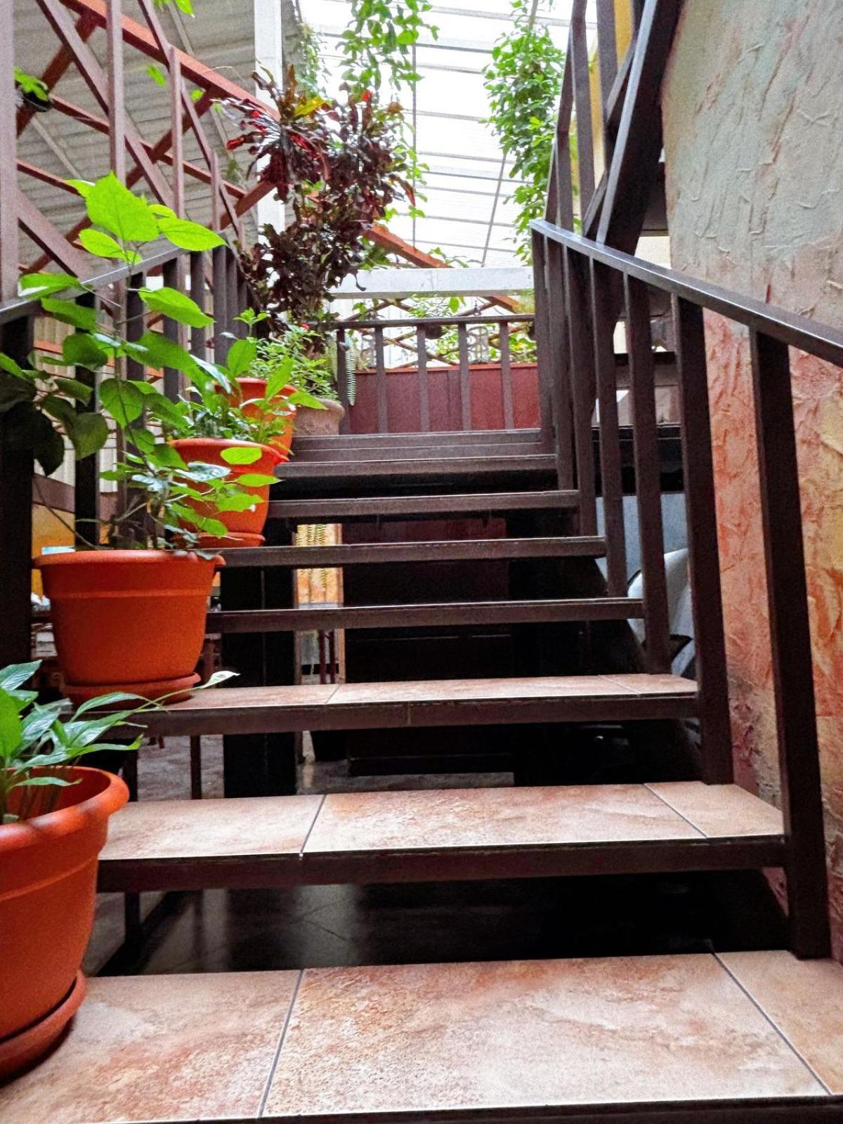 Antigua Inn Hotel 과테말라 외부 사진