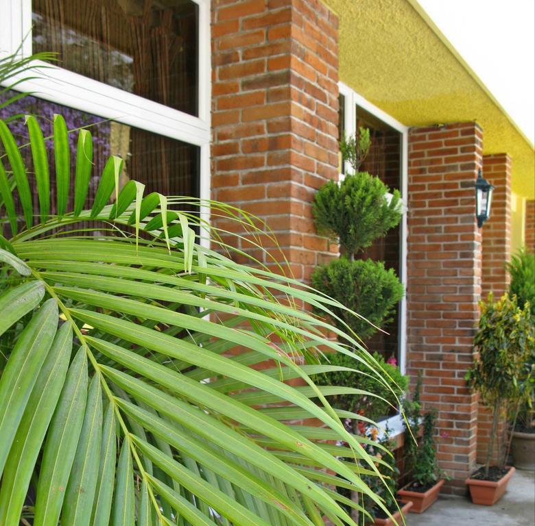 Antigua Inn Hotel 과테말라 외부 사진